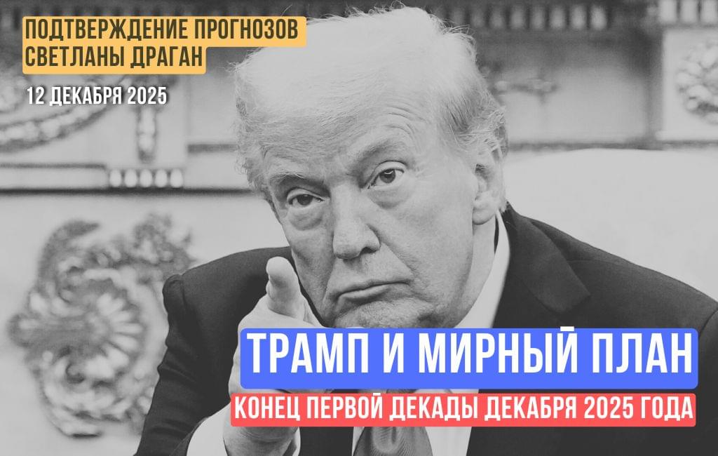 Трамп и мирный план (конец первой декады декабря 2025 года)